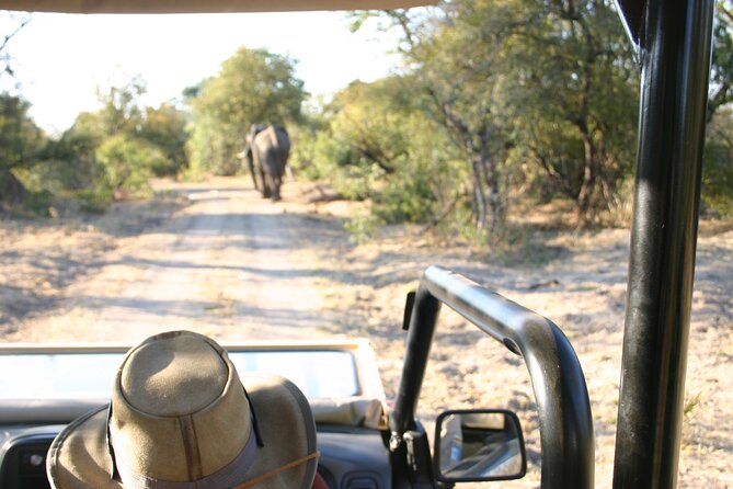 Baobab-Sunrise-Sunset-Vulture-Moonlight Safaris, 4 Options - Bush tracks between town and the Zambezi gorge