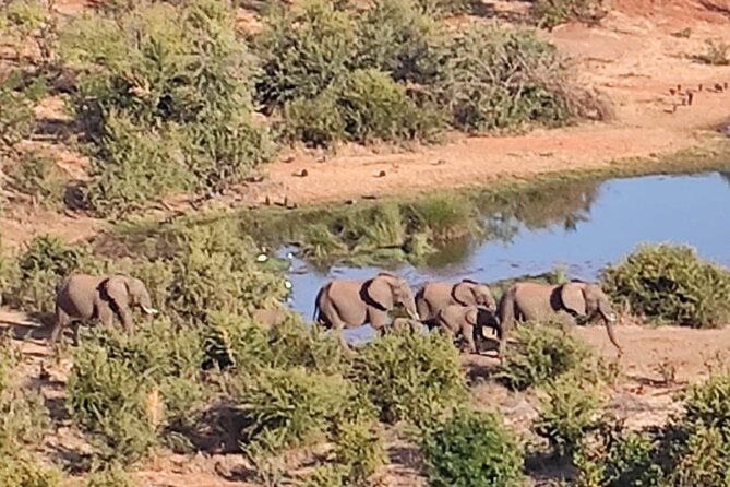 Baobab-Sunrise-Sunset-Vulture-Moonlight Safaris, 4 Options - The big baobab tree and local market stop