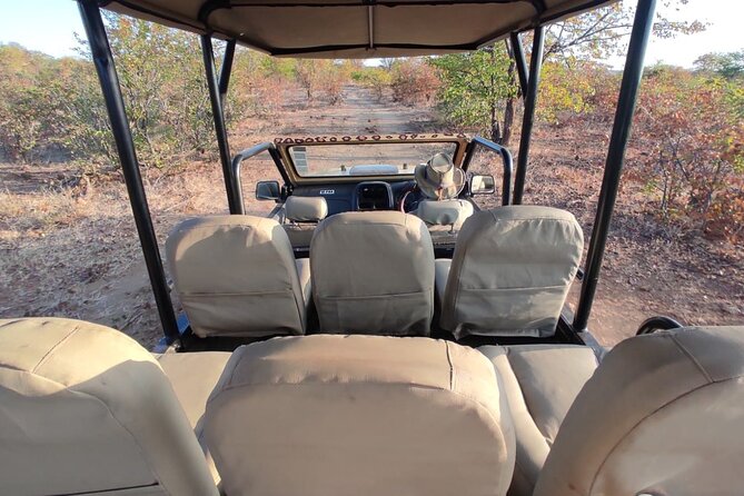 Baobab-Sunrise-Sunset-Vulture-Moonlight Safaris, 4 Options - What the two-hour length means