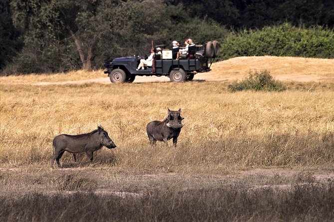 Birdwatching Cruise in Zambezi River with Breakfast - Key points to know before booking