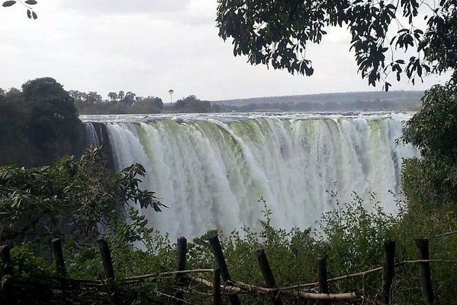 Boma Dinner & The Drum Show Experience - Arrival at Victoria Falls Safaris