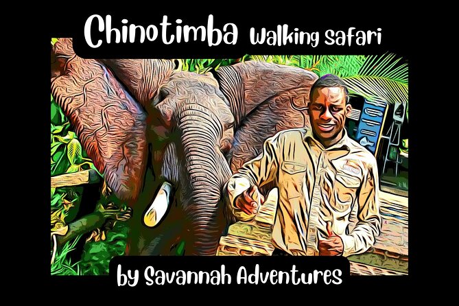 Chinotimba Township Tour in 4wd - Key points at a glance