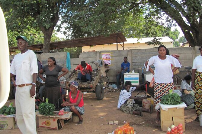Chinotimba Township Tour (Zimbabwe) - A private two-hour experience with included transport