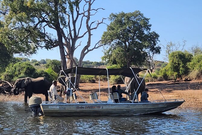 Chobe Botswana Day Trip River and Land Safari from Victoria Falls - Key points before you book