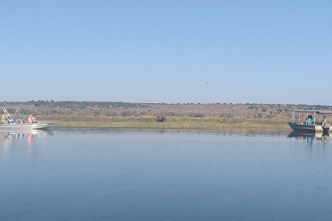 Chobe Botswana Full-Day Trip - Key points to know before booking