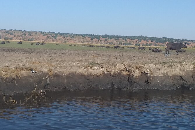 Chobe Botswana Full-Day Trip - What the $360 price really covers