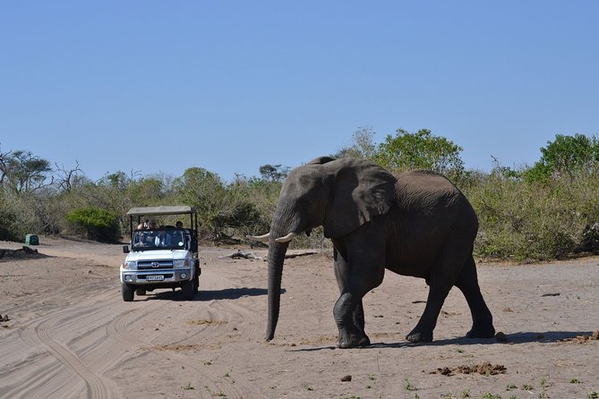 Chobe Day Trip - The 7:30 a.m. pickup and trip to Kasane
