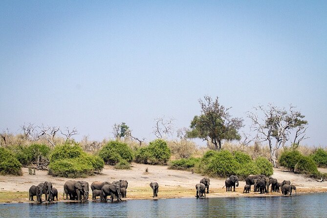 Chobe Day Trip - The nine-hour schedule and its drawbacks
