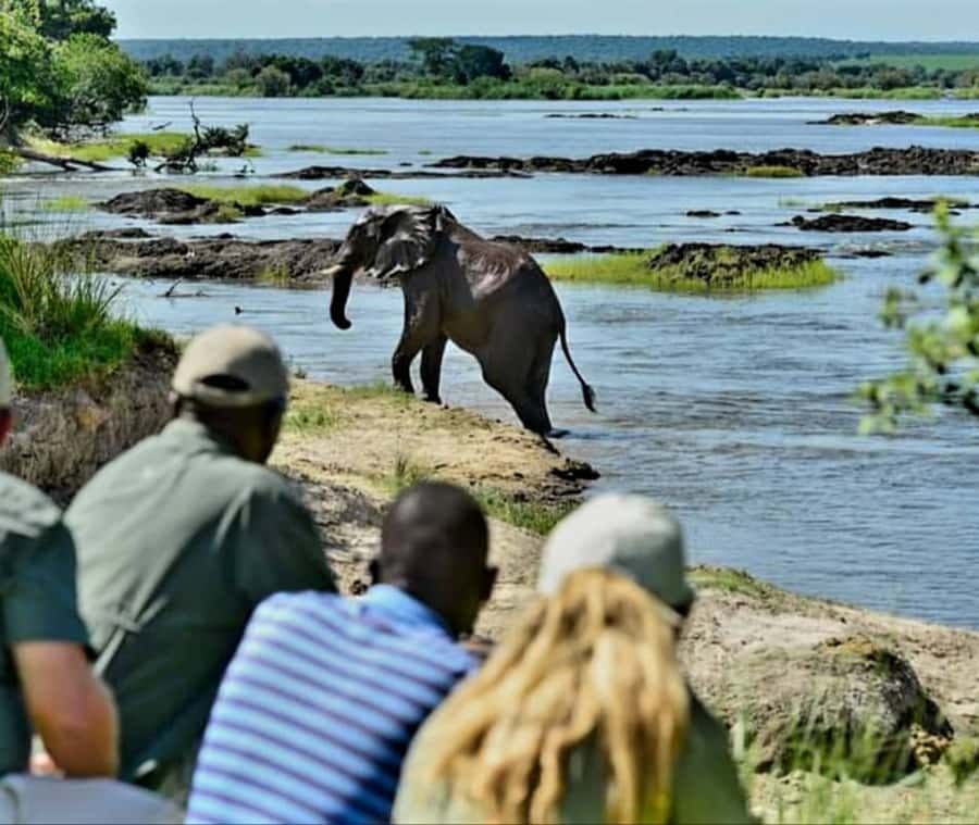 Chobe Day Trip - From Vic Falls - With Lunch (Buffet) - Is $144 good value?