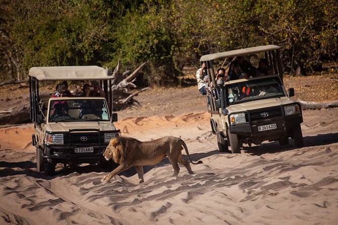 Chobe day trip from Victoria Falls - Key points at a glance