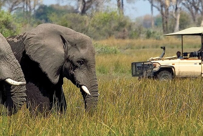 Chobe day trip from Victoria Falls - Lunch beside the river