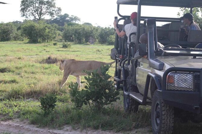 Chobe Day Trip From Victoria Falls - Is the $168 price good value?