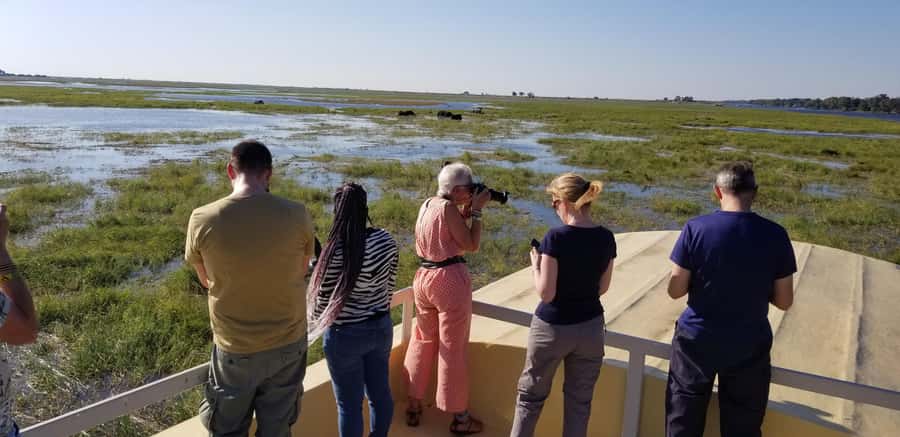 Chobe Day Trip from Victoria Falls, Zimbabwe - Is the long day worth it?