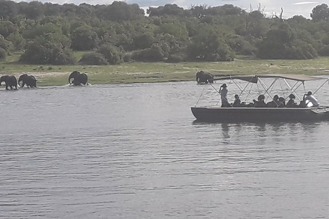 Chobe Day Trip Starting From Victoria Falls - What the $190 price is really buying