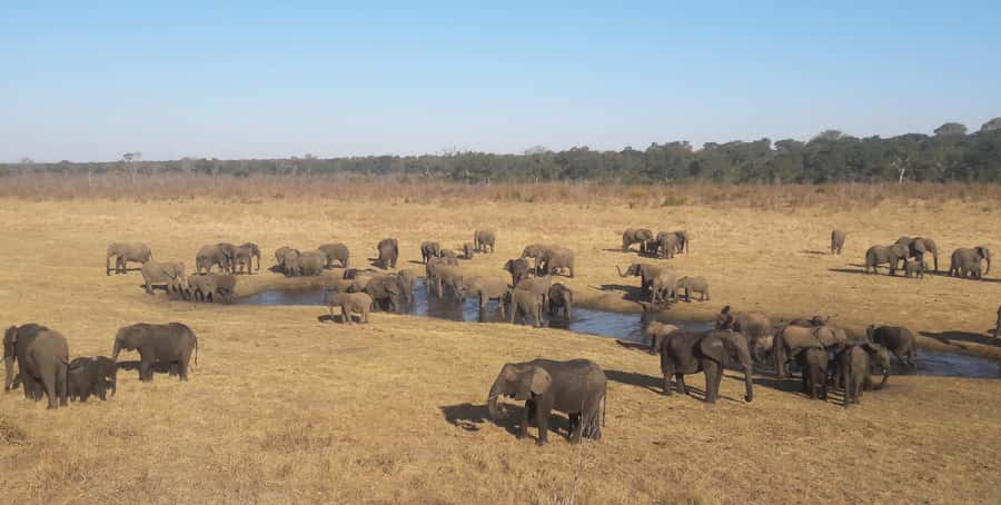 Chobe Extended Day Trip - Key points at a glance