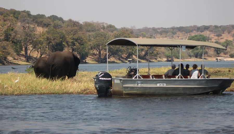 Chobe Extended Day Trip - Lunch at midday and a needed rest