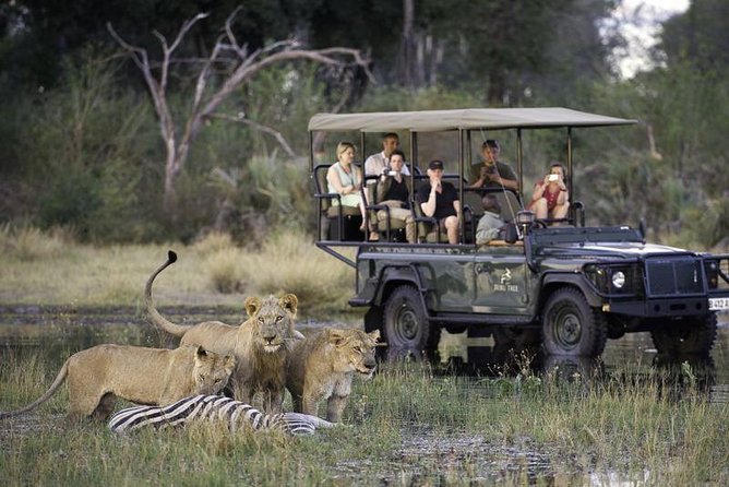 Chobe Extended Day Trip from Victoria Falls - Zimbabwe - Key points to know before booking