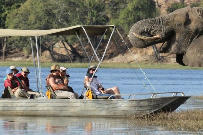 Chobe Extended Day Trip from Victoria Falls - Zimbabwe - Why the early start is worth the lost sleep