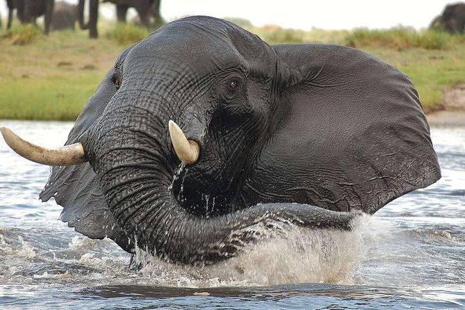 Chobe Extended Day Trip from Victoria Falls - Zimbabwe - The long ride back to Victoria Falls