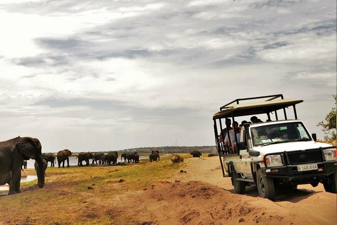 Chobe Extended Day Trip from Victoria Falls - Zimbabwe - Who will enjoy this Chobe day trip?