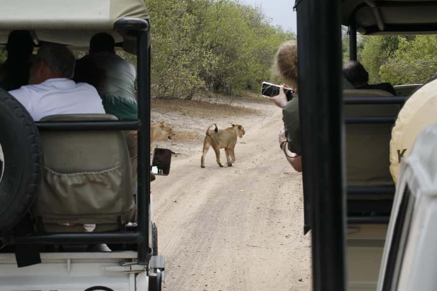 Chobe Extended Day Trip - Crossing the border before Chobe National Park