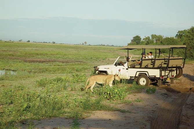 Chobe Full Day Safari From Victoria Falls - Key points before you book
