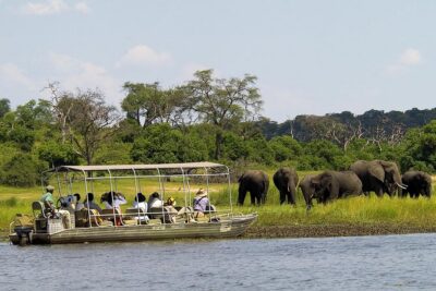 Chobe Day Trip from Victoria Falls, Zimbabwe
