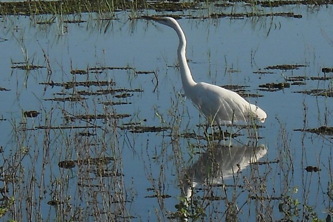 Chobe Full Day Safari Trip - Is $180 a fair price?