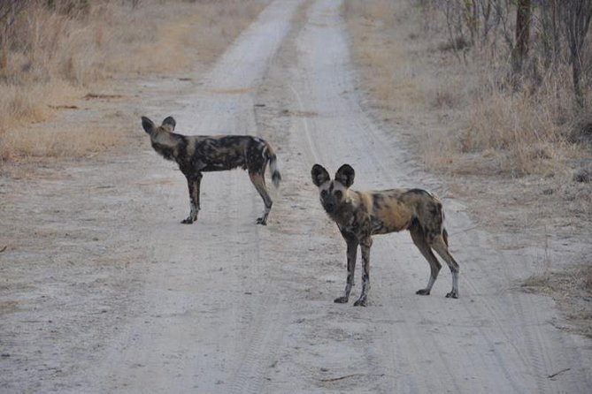 Chobe Full day Safari with Victoria falls Sunrise Tour Combo - Victoria Falls at 5:45 a.m.