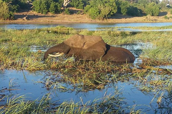 Chobe Full day Safari with Victoria falls Sunrise Tour Combo - Who will get the most from this tour?