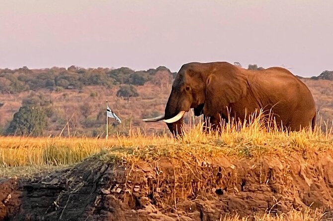 Chobe Full day Trip - The 7:00 a.m. pickup from Victoria Falls