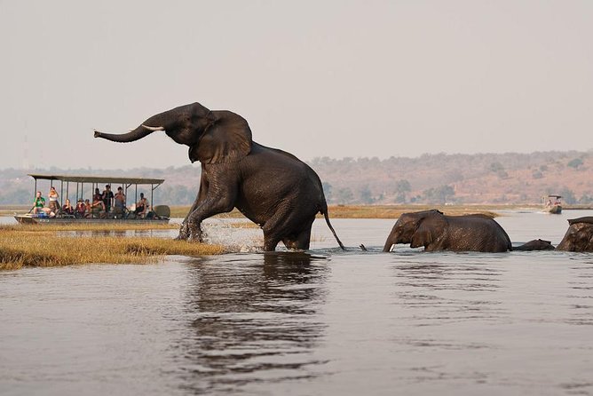 Chobe Full Day Trip From Victoria Falls - Why Chobe works as a day trip from Victoria Falls