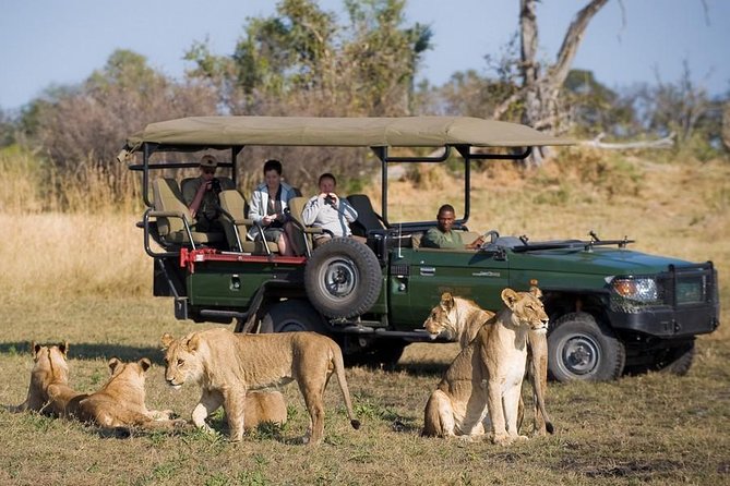 Chobe Full Day Trip From Victoria Falls - The return journey and second border crossing