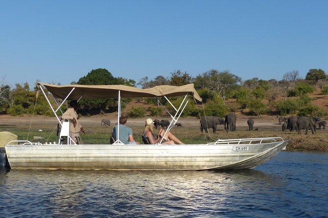Chobe Full Day Trip From Victoria Falls - The 7:00 am pickup and road to Botswana