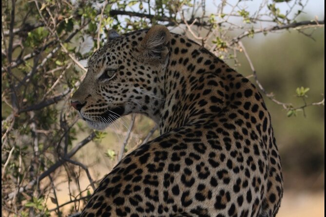 Chobe Full day Trip - Crossing Kazungula into Botswana
