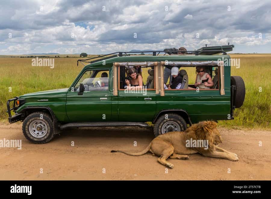 Chobe Half Day Trip from Victoria Falls - Choosing the three-hour Chobe game drive