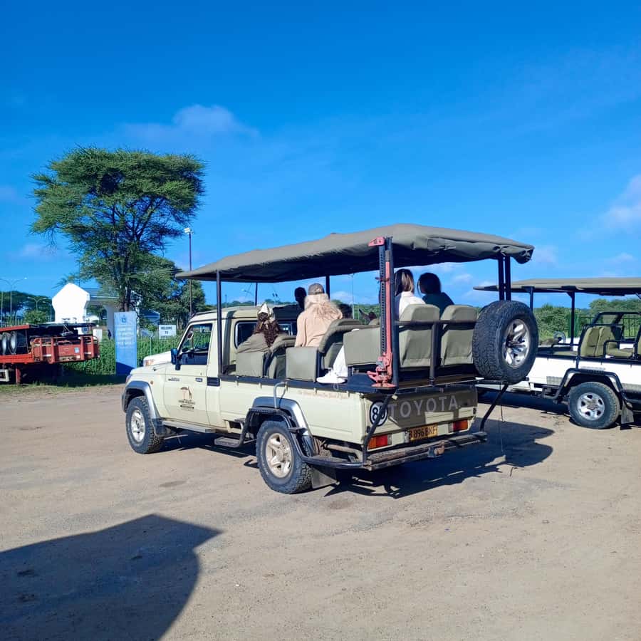 Chobe Half Day Trip from Victoria Falls - Accessibility, cancellation, and basic practical details