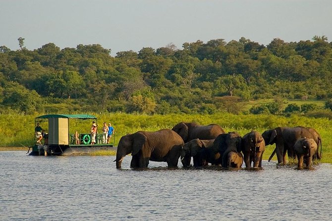 Chobe National Park 4X4 Day Safari and River Cruise - Key points to know before booking