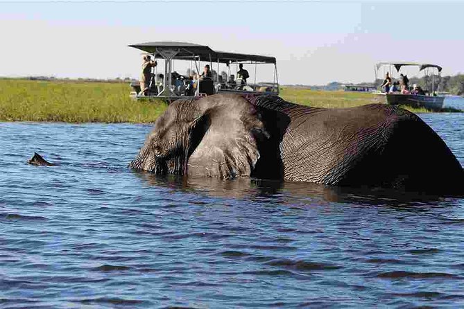 Chobe National Park 4X4 Day Safari and River Cruise - Why combine Chobe River and bush safari?