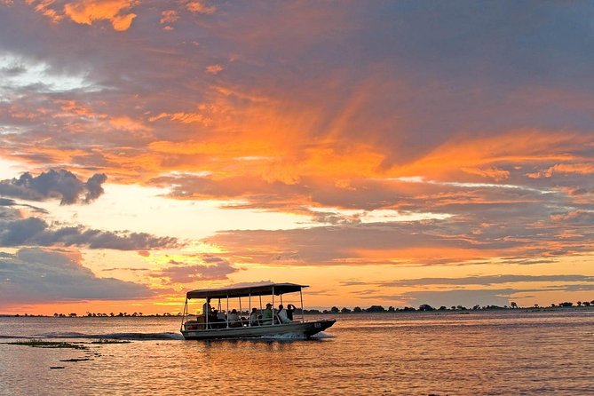 Chobe National Park 4X4 Day Safari and River Cruise - What the guides and vehicles add