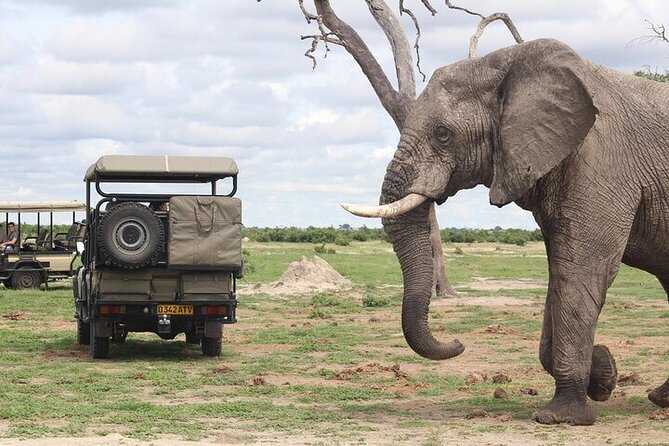 Chobe National Park Day Trip from Victoria Falls with Lunch - Key points to know before booking
