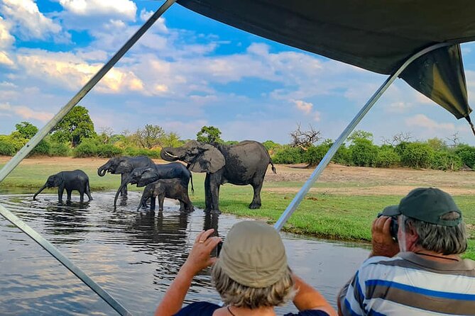 Chobe National Park Day Trip from Victoria Falls with Lunch - Why Chobe makes a strong add-on from Victoria Falls