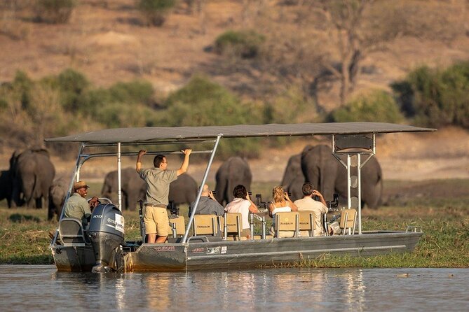 Chobe National Park Day Trip from Victoria Falls with Lunch - The 7:00 a.m. pickup and the road to Kazungula