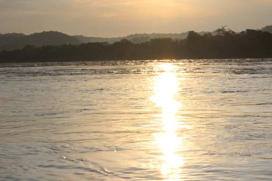 Chobe National Park: Game Drive, Boat Tour, and Lunch - The morning game drive in an open vehicle