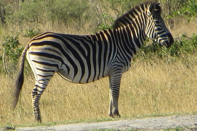 Chobe Safari Overnight Camping Trip - Reading Chobe River from a safari boat