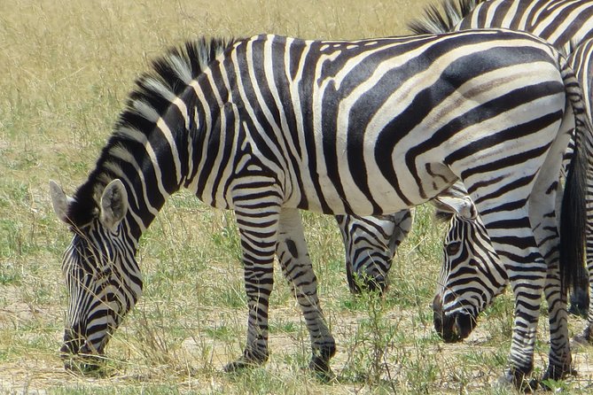 Chobe Safari Overnight Camping Trip - The human side of the safari