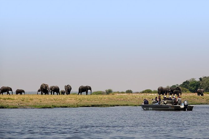 Chobe Sunrise upto Sunset Day trip from Victoria Falls 5AM - 7PM - Who should book this safari
