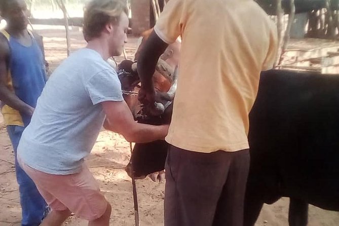 Cultural Village Tour,Interacting With the Communal Villagers (Educational Trip) - Traditions, Remedies, Marriage, And Ceremonies