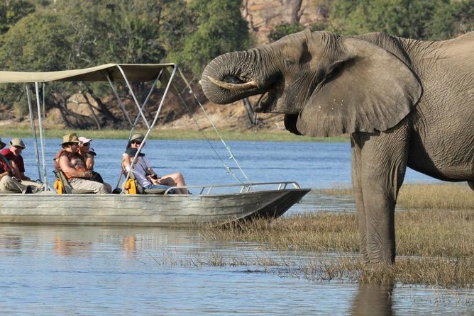 Explore Chobe National Park With a Day Trip from Victoria Falls - Why Chobe works as a day trip from Victoria Falls