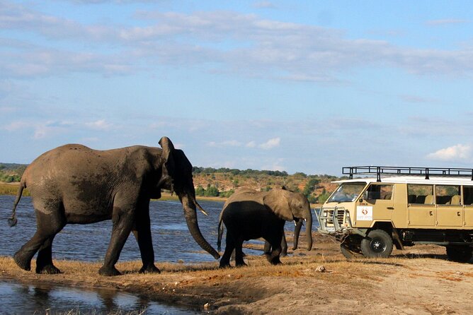 Explore Chobe National Park With a Day Trip from Victoria Falls - Lunch, drinks, and the pause between safaris